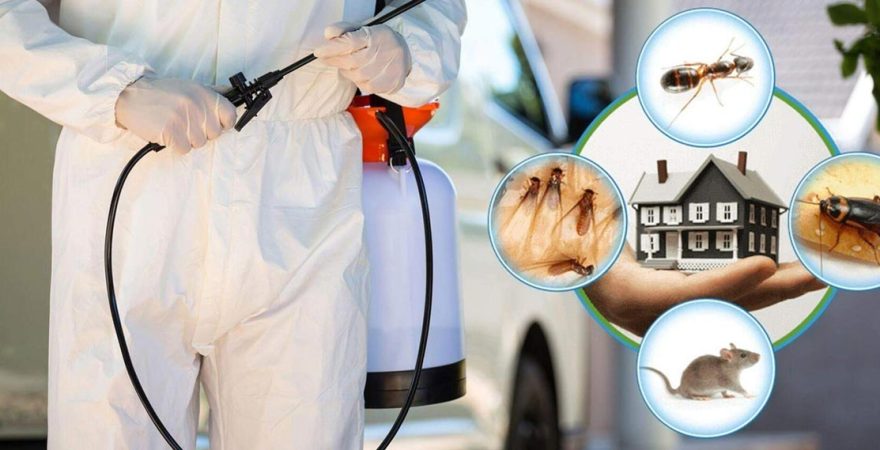 Evren Böcek İlaçlama