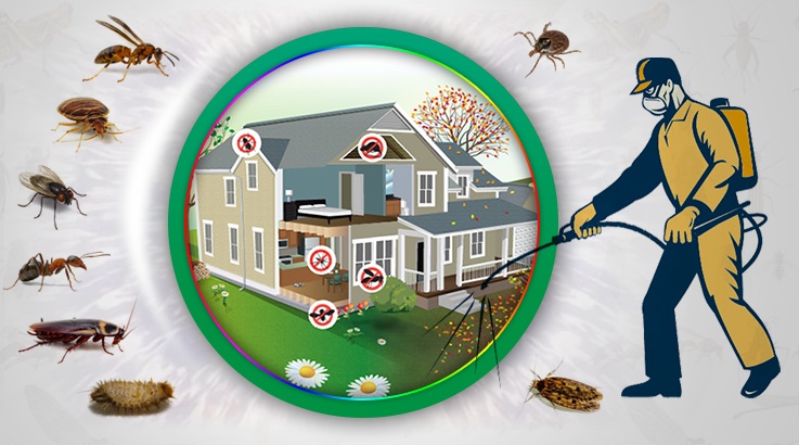 Evren Böcek İlaçlama