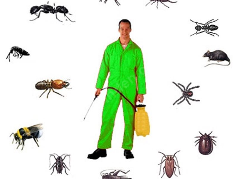 Evren Böcek İlaçlama